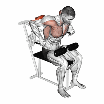 Animated demo of the machine triceps dip