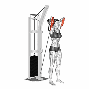 Cable Rope Overhead Triceps Extension