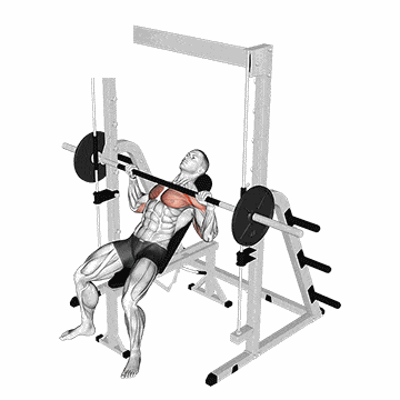 Animated demo of the smith machine incline bench press