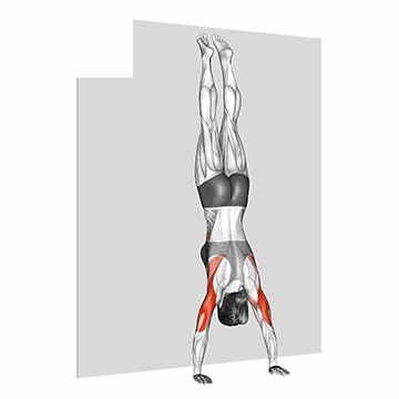 Wall-Supported Handstand Push-Up
