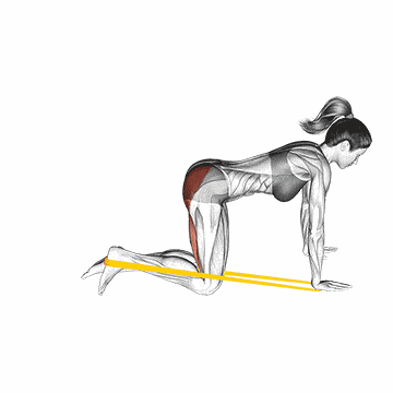 Animated demo of the glute kickbacks