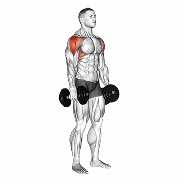 Lateral Raise