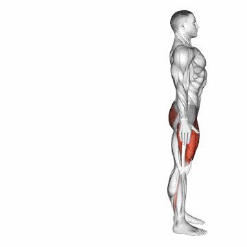 Reverse Lunge