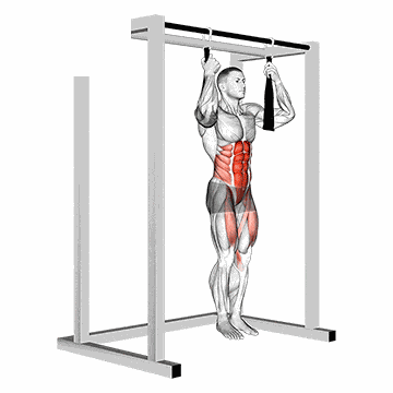Hanging Leg Raise