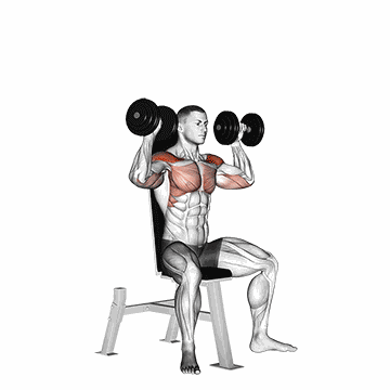 Animated demo of the dumbbell overhead press