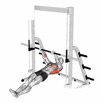 Inverted Row