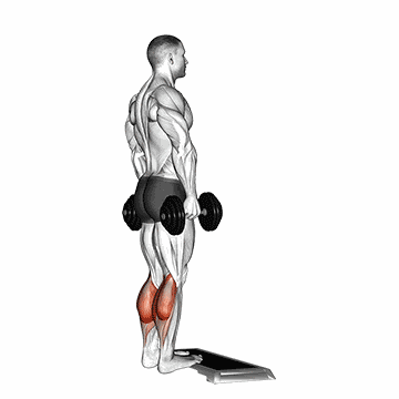 Calf Raise