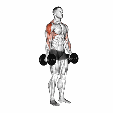 Dumbbell Front Raise