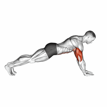 Animated demo of the forearm push-up