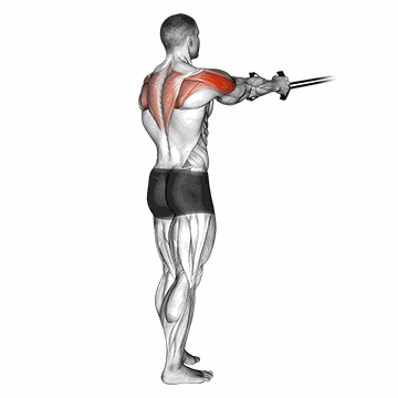 Rear Delt Fly
