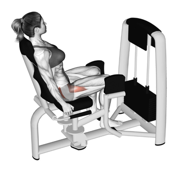 Seated Hip Abduction Machine