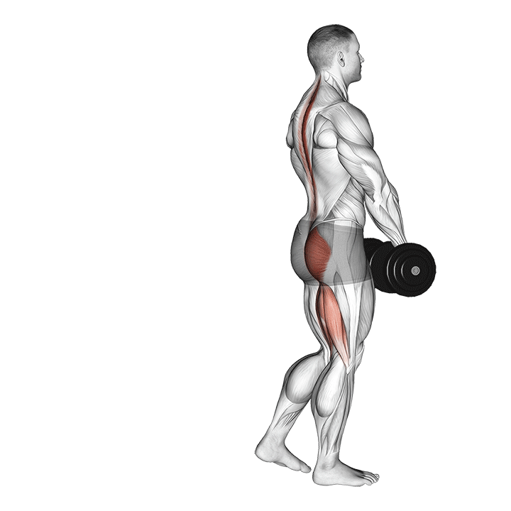 Single-Leg Romanian Deadlift