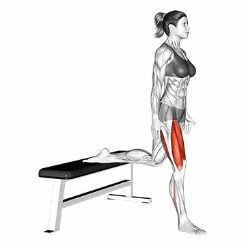 Bulgarian Split Squat