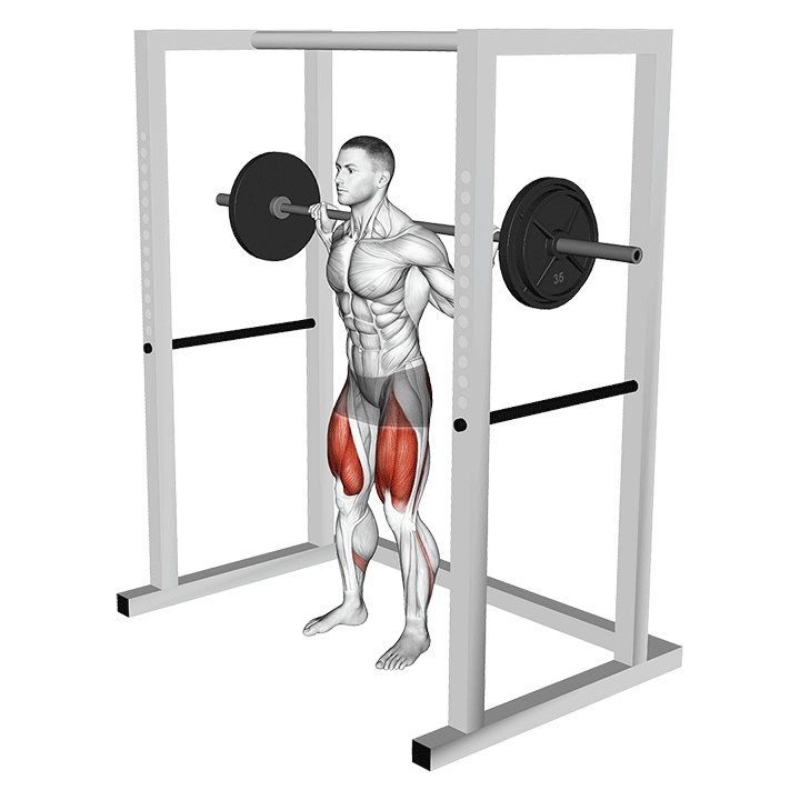 Anderson Squat