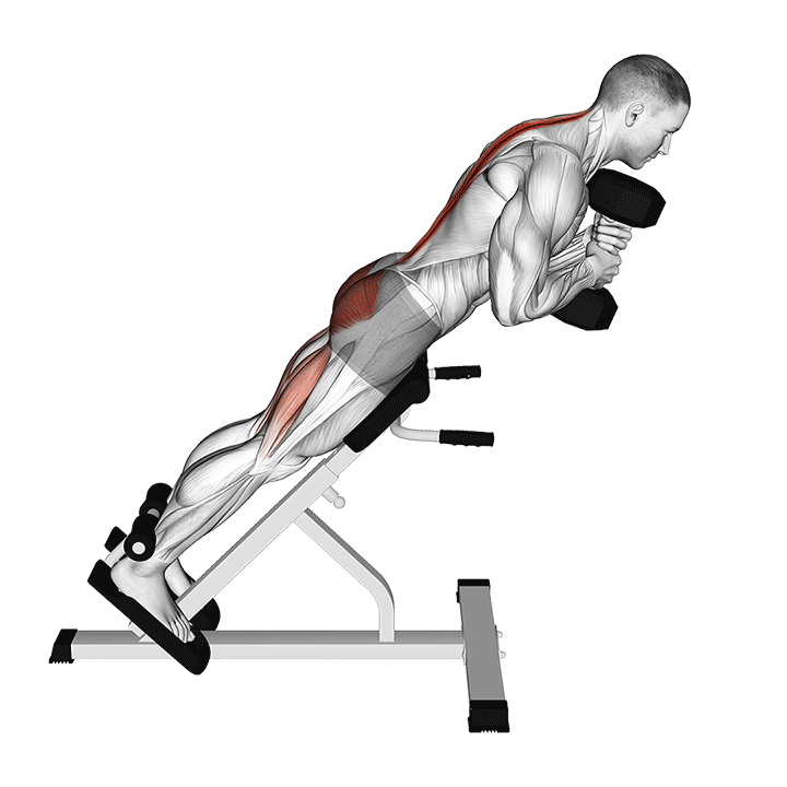Animated demo of the back extension with dumbbell