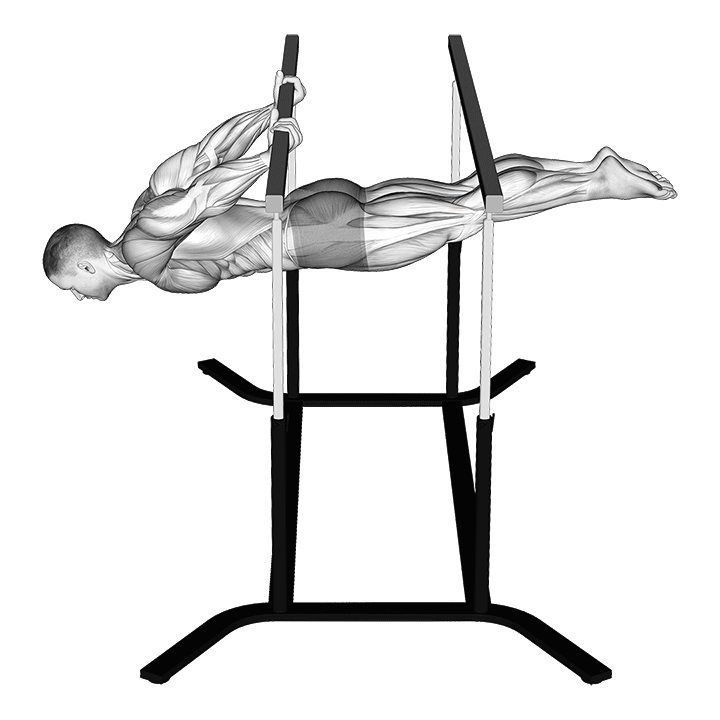 Animated demo of the back lever
