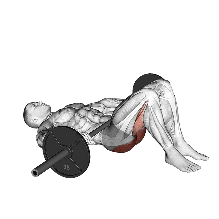 Barbell Glute Bridge