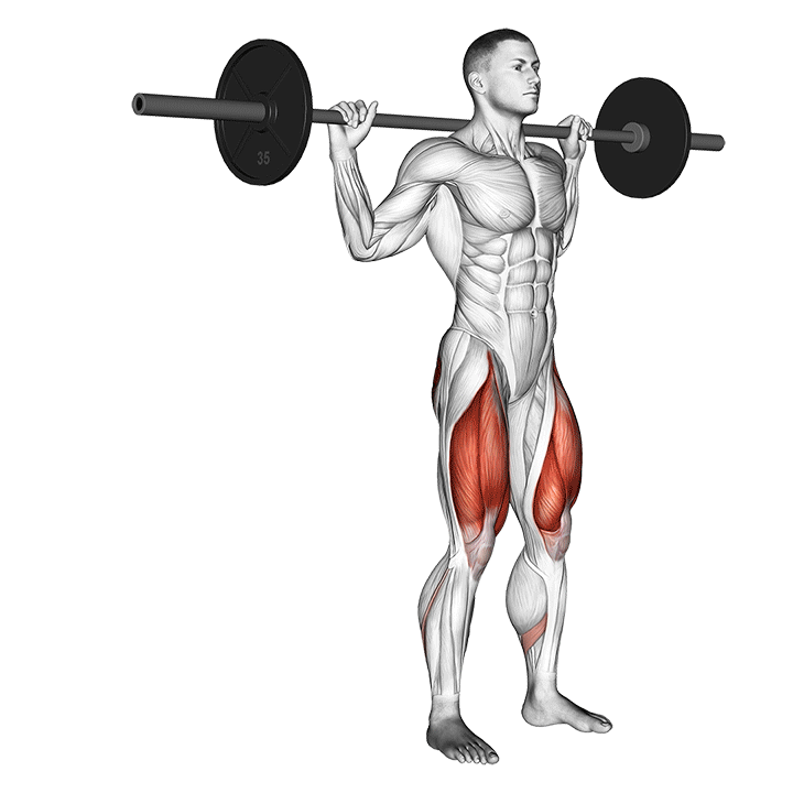 Barbell Reverse Lunge