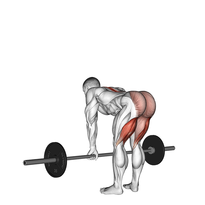 Barbell Deadlift