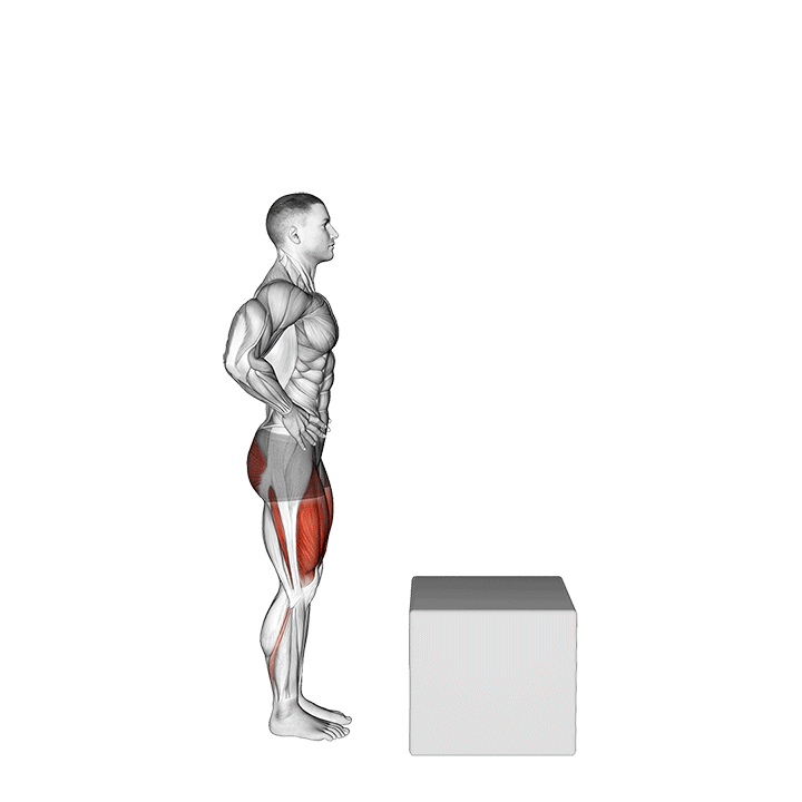 Box Step-Ups