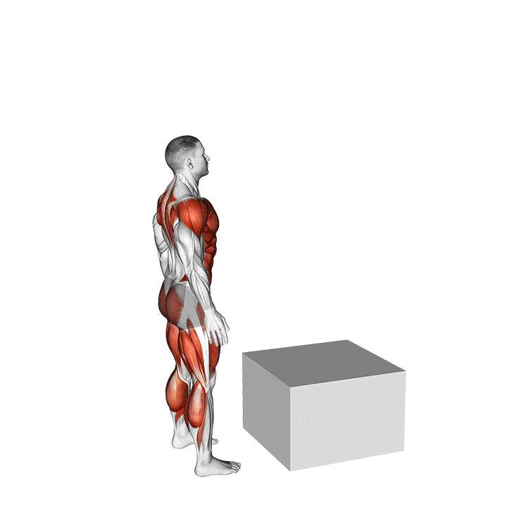 Box Jumps