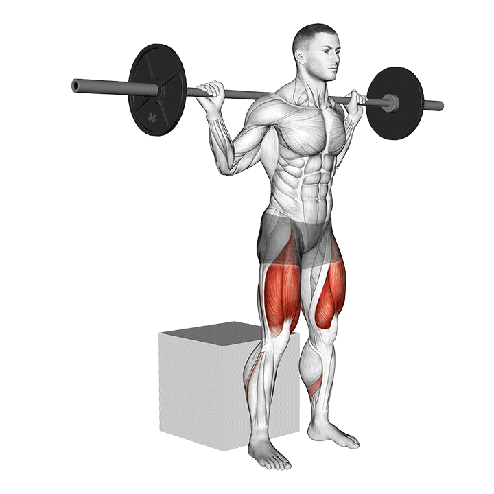 Box Squat