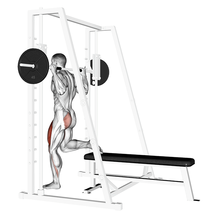 Animated demo of the bulgarian split squat (smith machine)