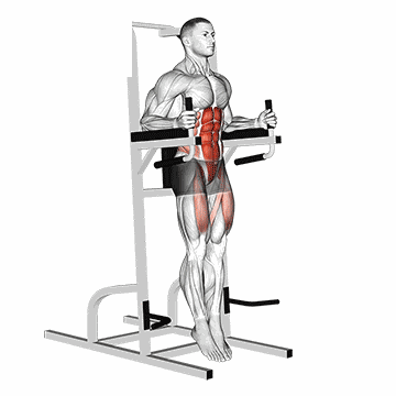Captain's Chair Leg Raise