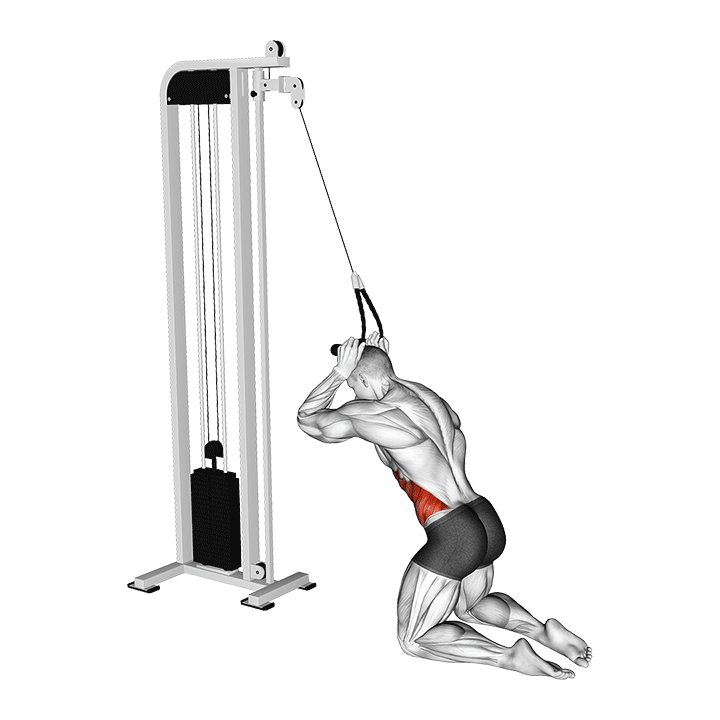 Cable Kneeling Side Crunch