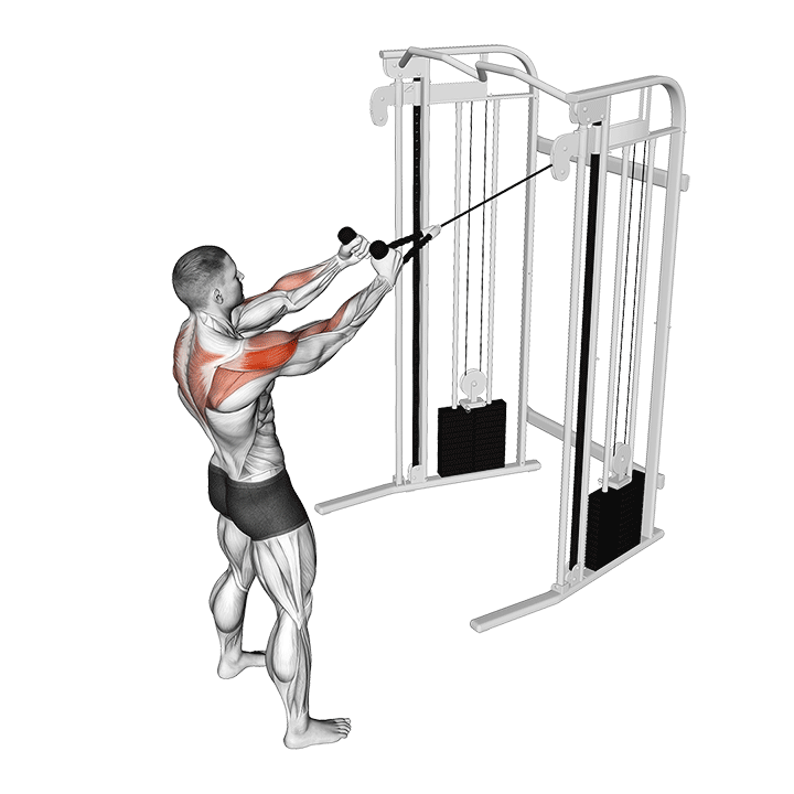 Cable Supinated Face Pull
