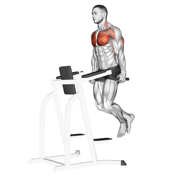 Animated demo of the chest dips