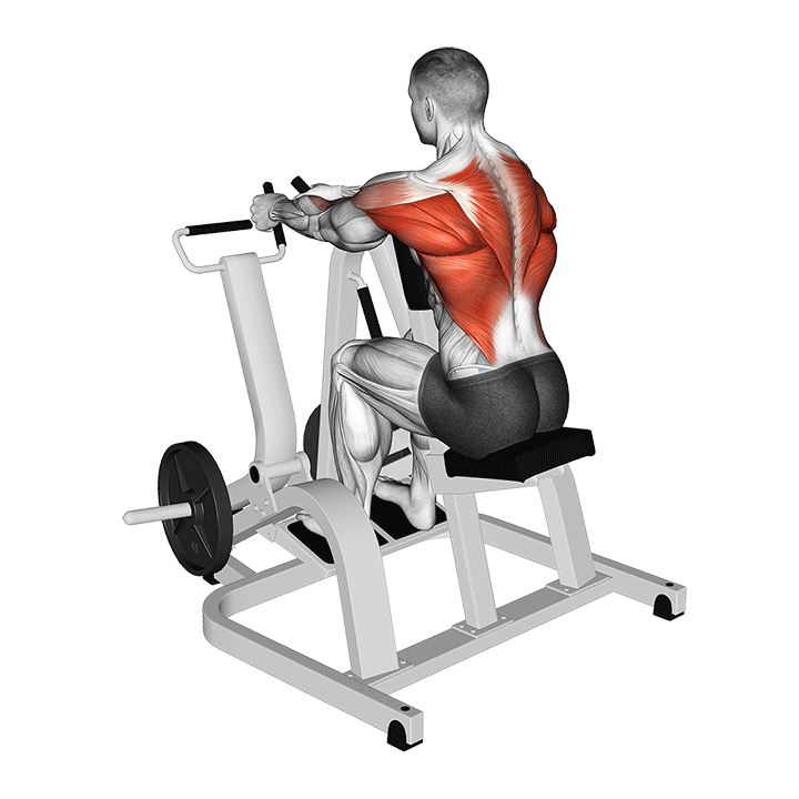 Chest-Supported Machine Row