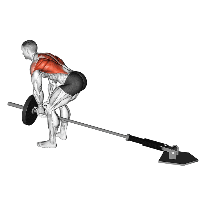 Close-Grip Landmine Row