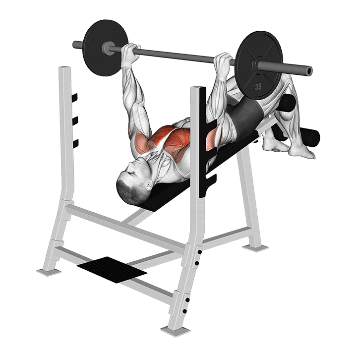 Decline Barbell Bench Press