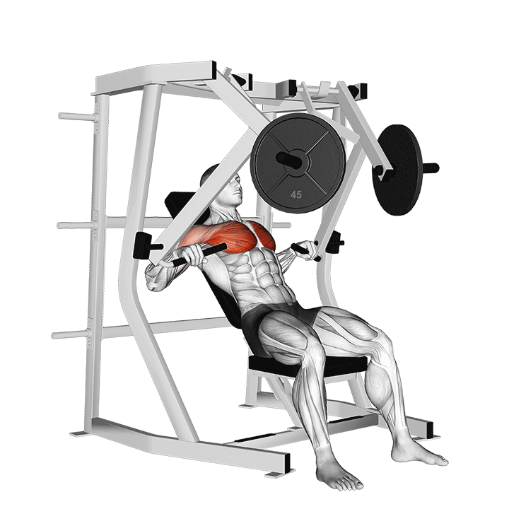 Decline Chest Press