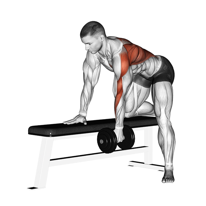 Dumbbell Bent Over Row