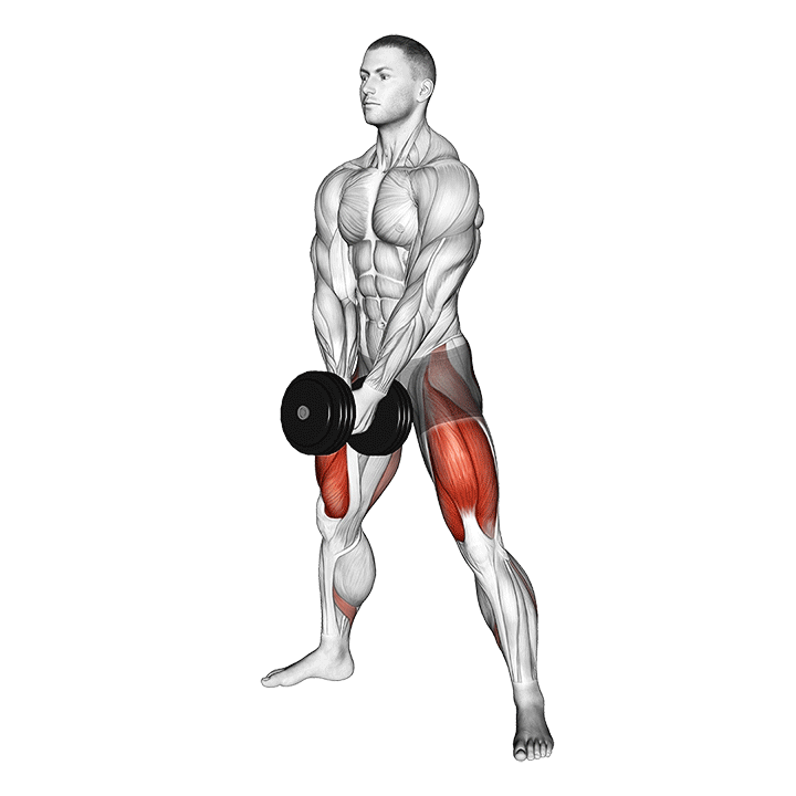 Animated demo of the dumbbell sumo squat