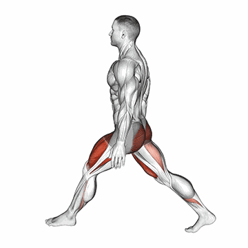 Animated demo of the atg split squat