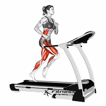 Treadmill Running