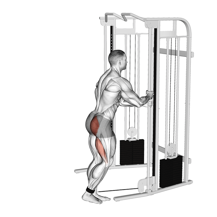 Glute Cable Kickback