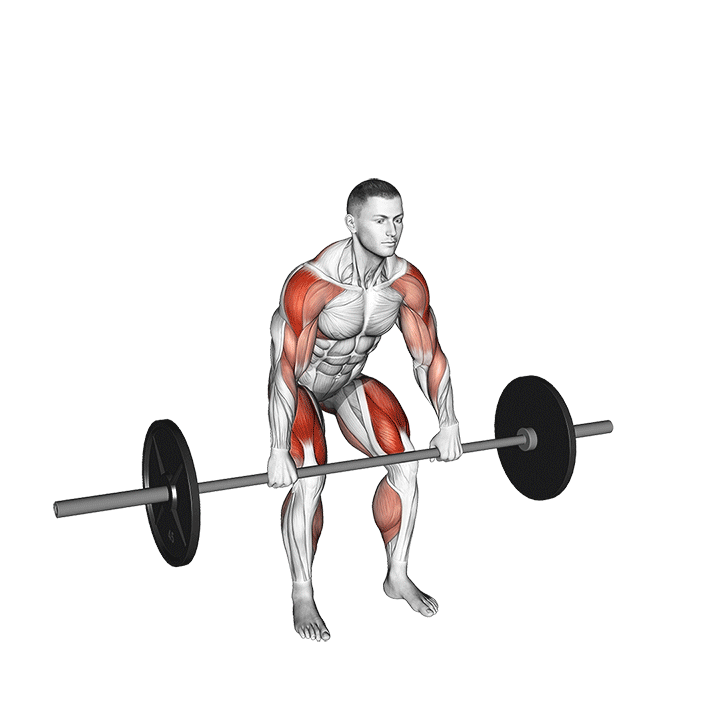 Hang Power Clean