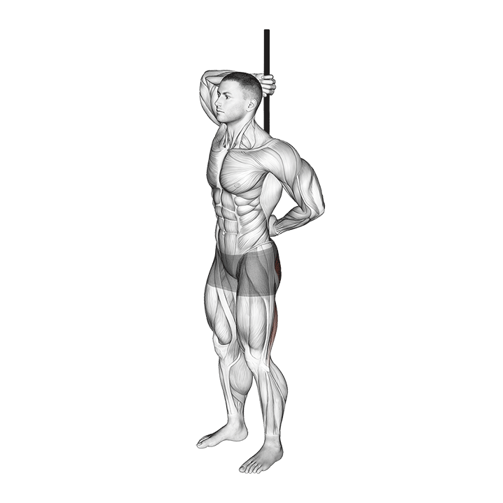 Hip Hinge