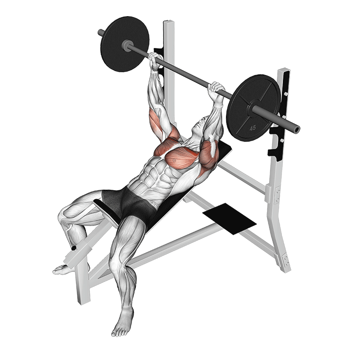 Incline Barbell Bench Press