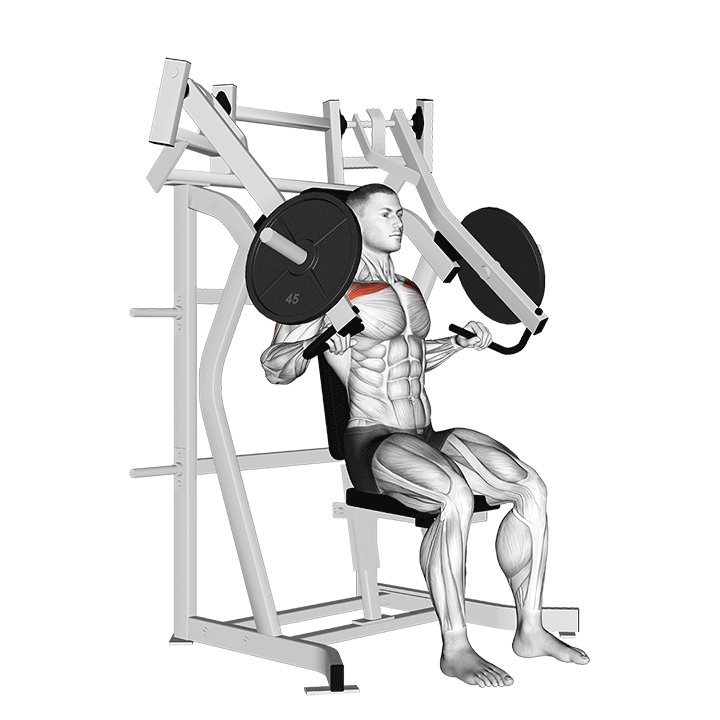 Incline Hammer Chest Press