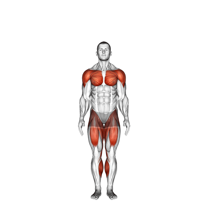 Animated demo of the jumping jacks