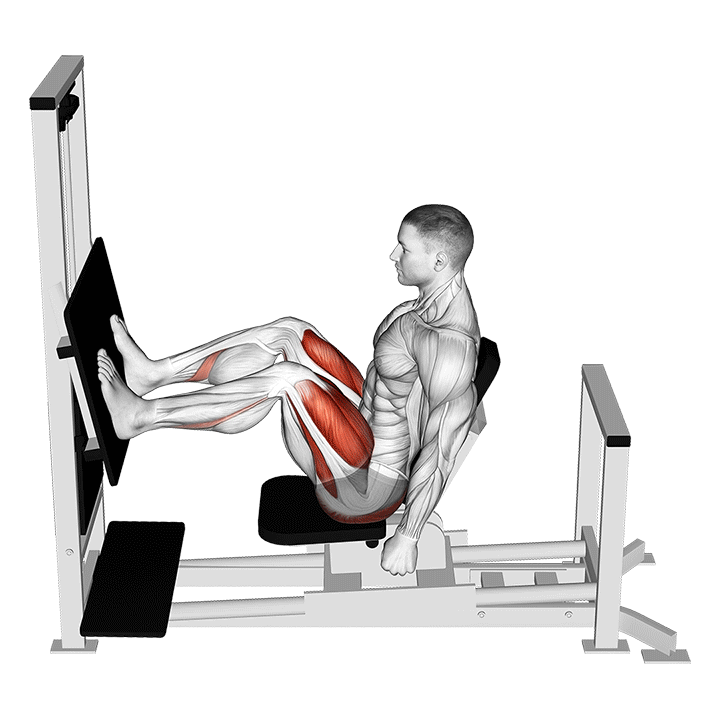 Animated demo of the lever horizontal leg press