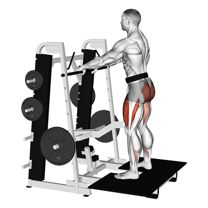 Démo animée : belt squat (machine)