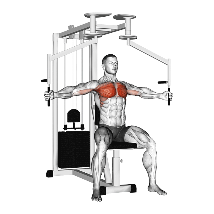 Machine Chest Fly