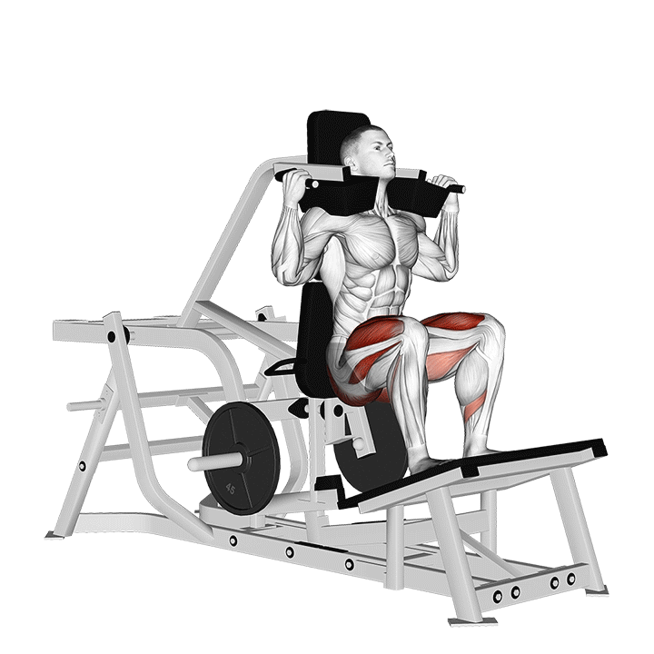 Machine Hack Squat