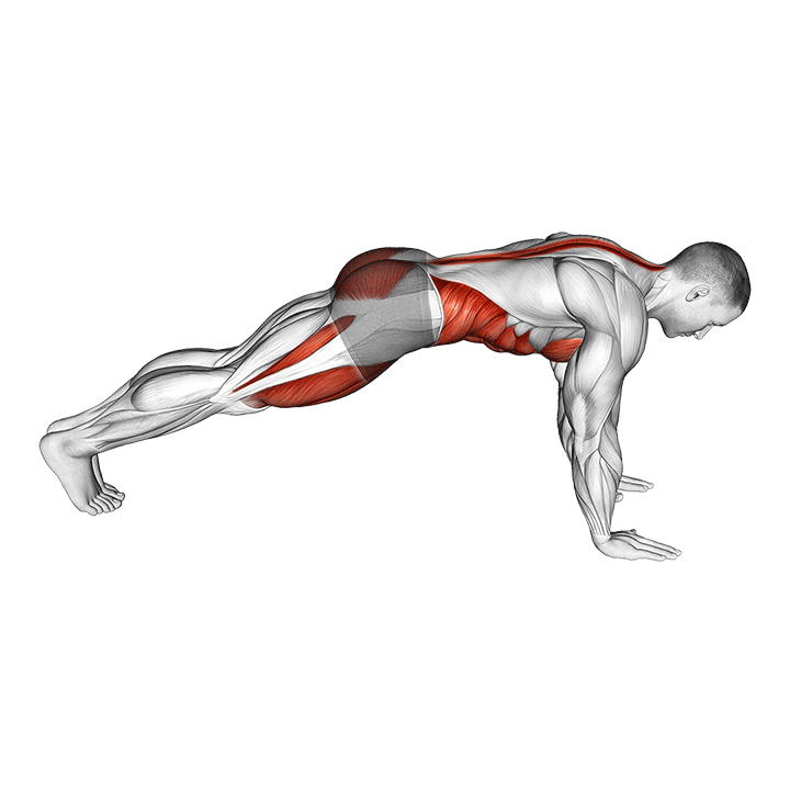 Animated demo of the mountain climber
